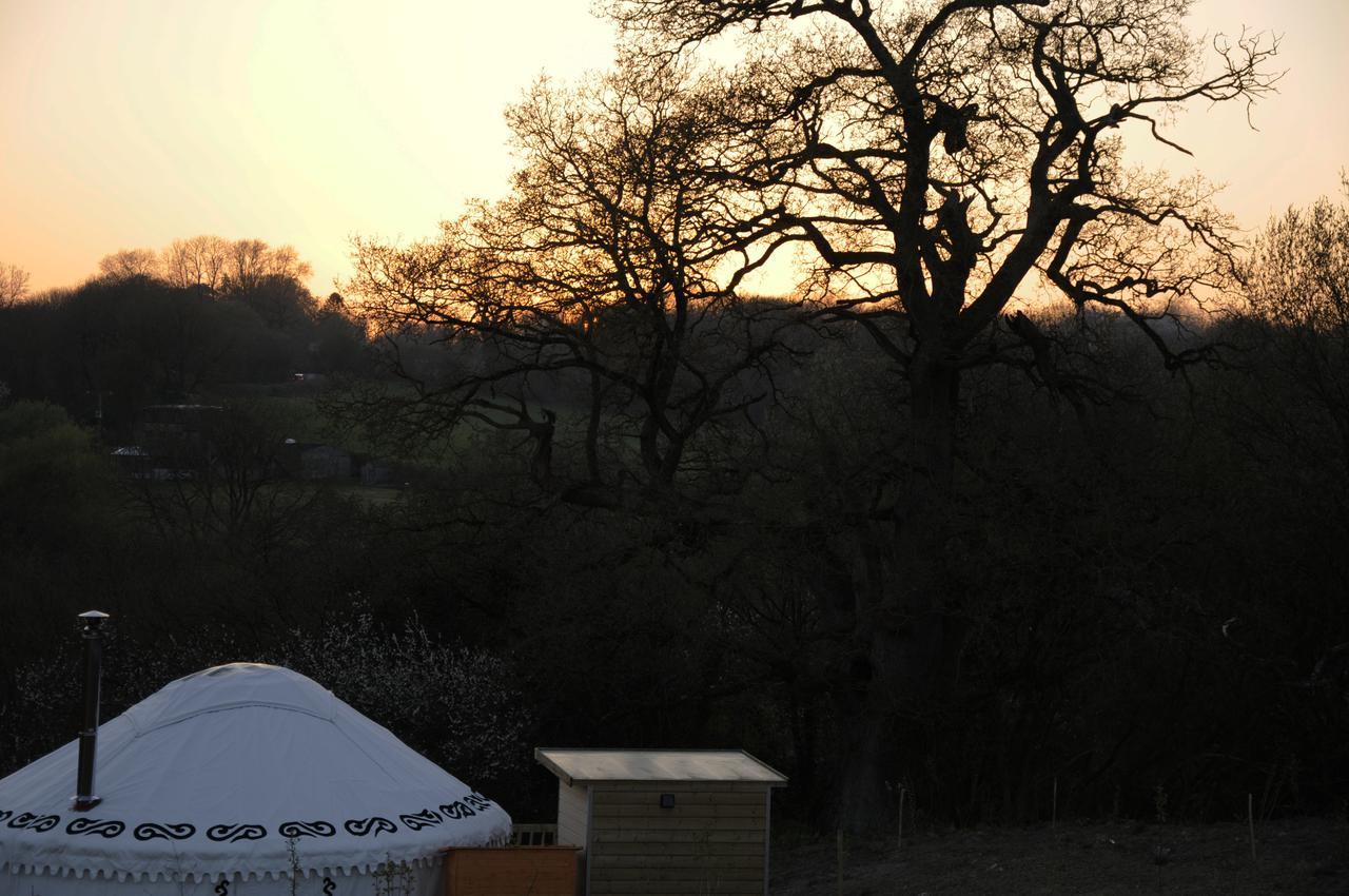 Glamping On The Hill Hotell Mells Exteriör bild